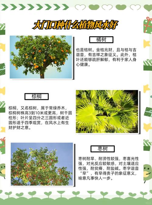 梦见在门前种植小树，预示着什么吉凶？