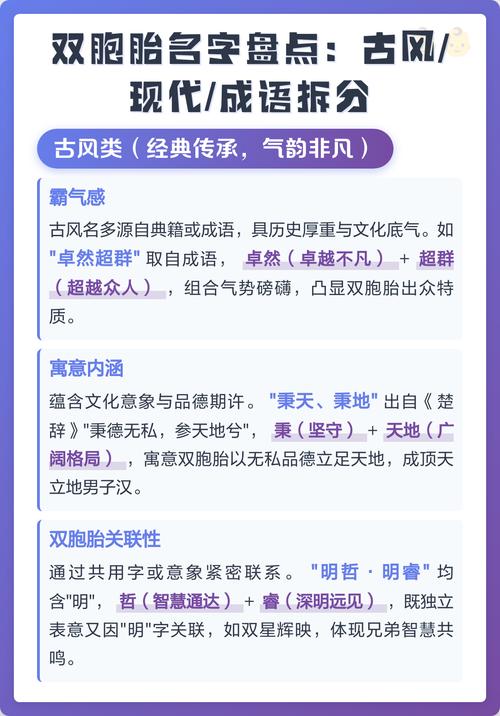 有哪些成语适合用来给双胞胎男孩取名？