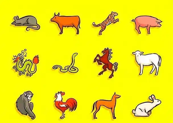 十二生肖中哪个生肖的动物随遇而安，尾巴特长呢？