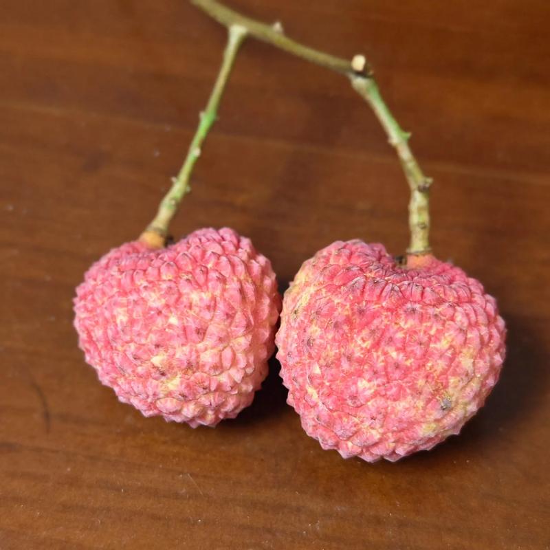 孕妇梦见荔枝预示生男生女？这梦境有何特殊含义？