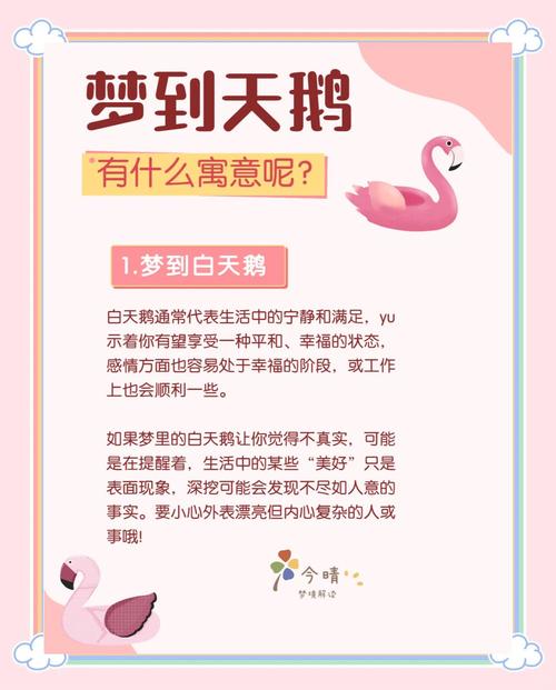 周公解梦：梦到大白鹅究竟预示着什么吉凶？