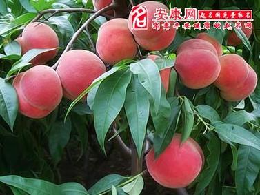 女人梦见树上结满熟透桃子，其中有些坏了是什么预兆？