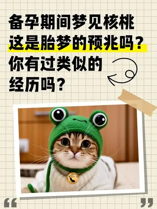 梦见核桃预示着什么？是胎梦的征兆吗？