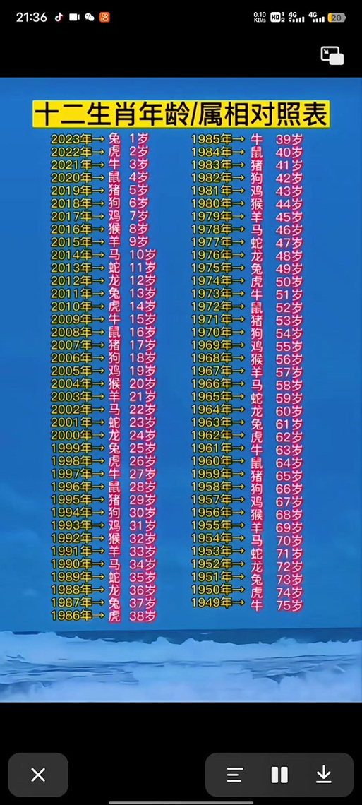 2023年出生属羊的人今年多少岁了？