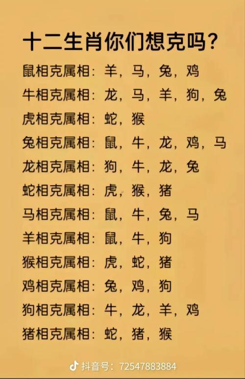 属蛇的与属马的相配吗？他们的属相合得来吗？