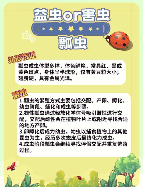 七星瓢虫的寓意是什么嫩分享一些干净治愈的昆虫文案短句吗？