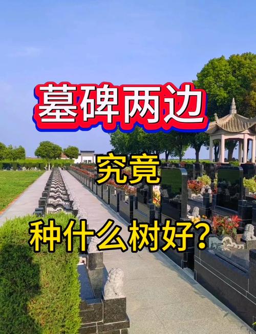 坟地种植什么树才能既旺财又旺人？