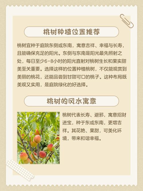 门前种长桃树是风水宝地吗？