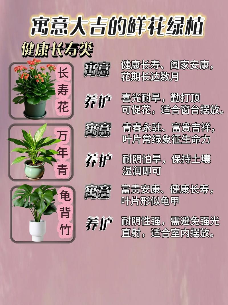 梦见花盆代表什么含义？是吉是凶？有什么忒别的象征意义吗？