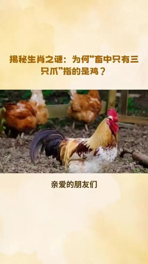 哪个生肖在畜类中只有三只瓜，爪子也只有三只呢？