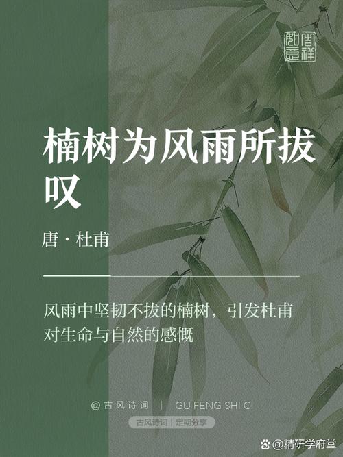 楚辞中关于楠木的诗句有哪些？能否列举一二？