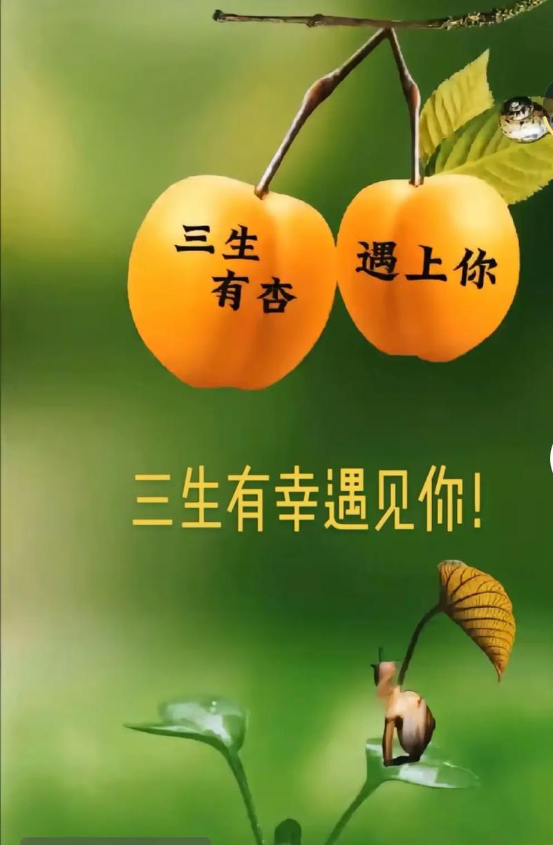 梦见送杏子有什么特殊预兆或含义？