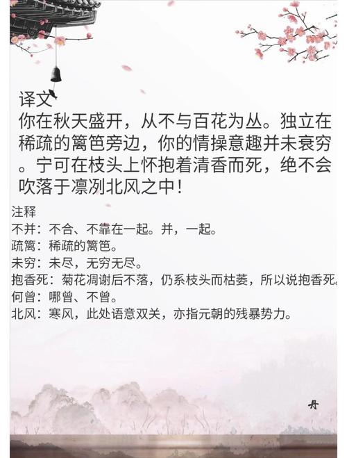 残菊经霜的74数理值，是否代表沉沦逆境中那落寞秋叶的凶兆？