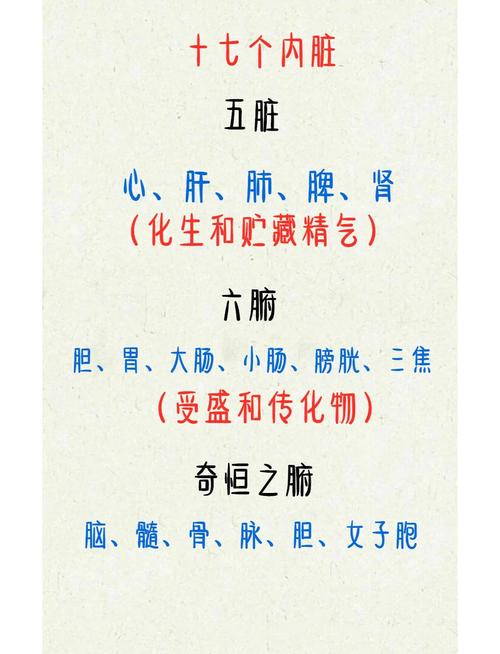 中医藏象名词有哪些具体含义，杨智骏医生能详细解释一下吗？