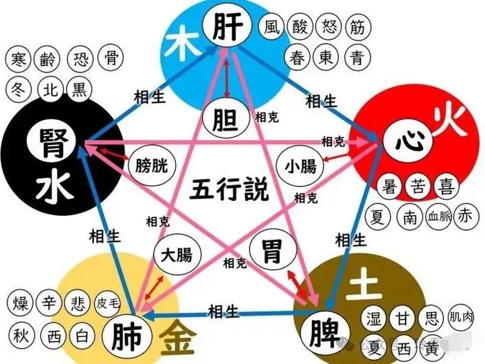 酒在五行中究竟归属于金木水火土中的哪一个属性？
