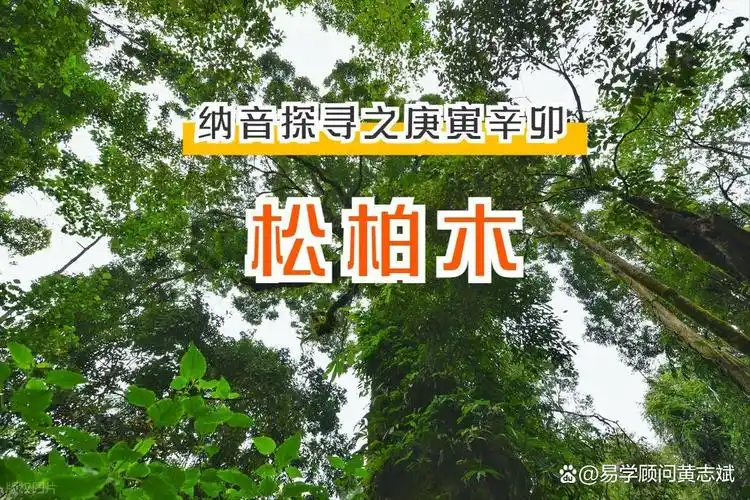庚寅松柏木适合哪些生肖，能否带来好运？