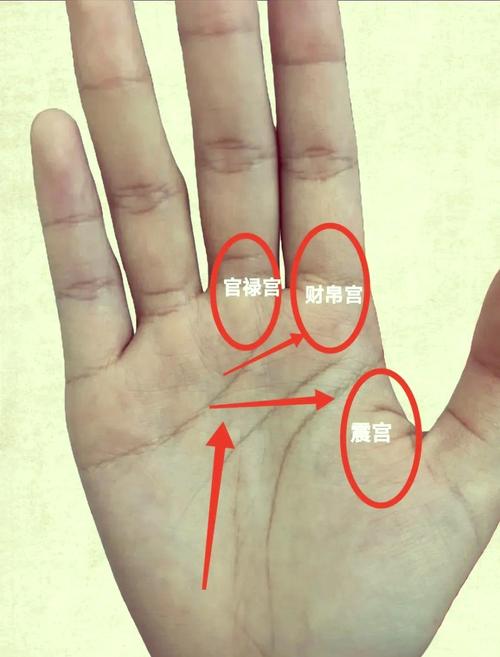 这位转世川字掌女，她的超凡双手究竟有何神秘力量？