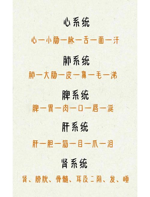 中医藏象名词有哪些具体含义，杨智骏医生能详细解释一下吗？