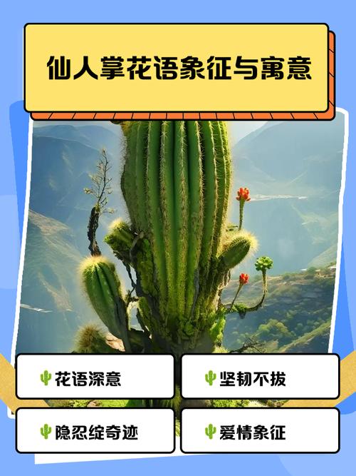 仙人掌象征的含义具体暗示了哪些深层的文化和情感寓意？