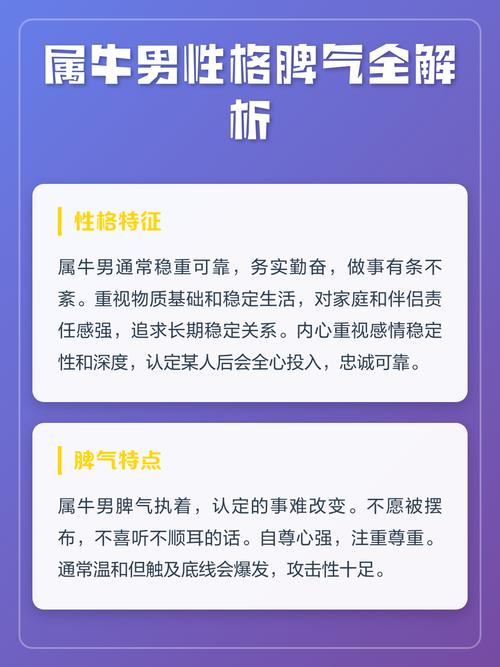 属牛男性性格特点中，脾气是否容易暴躁？
