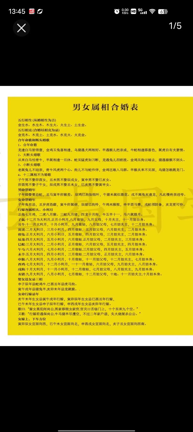 生肖猪与哪个属相相冲，它们之间是否存在相克关系？