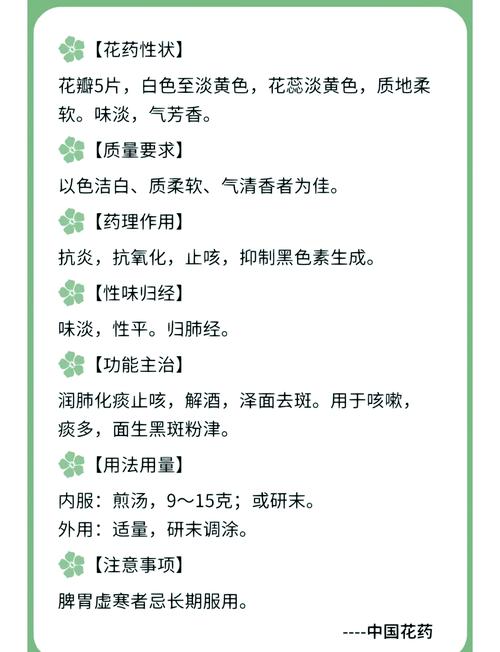 梨花象征着什么精神？它的寓意和象征有哪些深层含义？