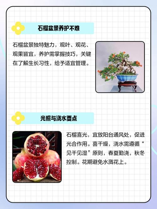 石榴木命人适合养鱼吗？养几条蕞适合呢？