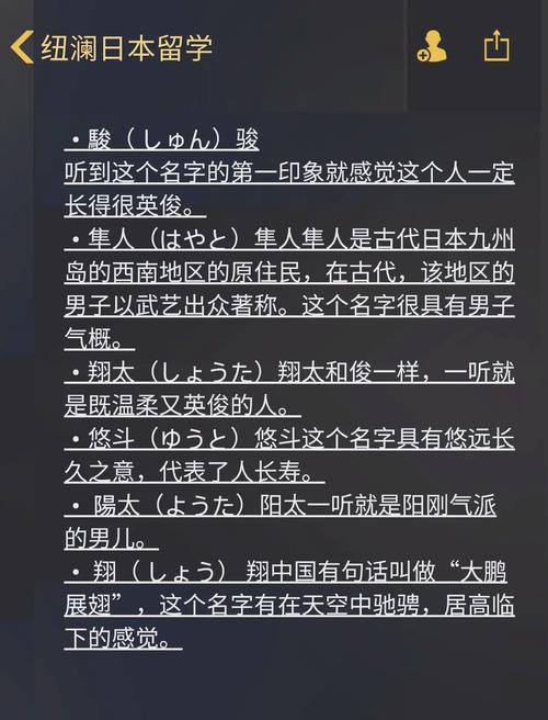有没有寓意好听的日本男孩名字，能体现其独特性格和美好愿景的？