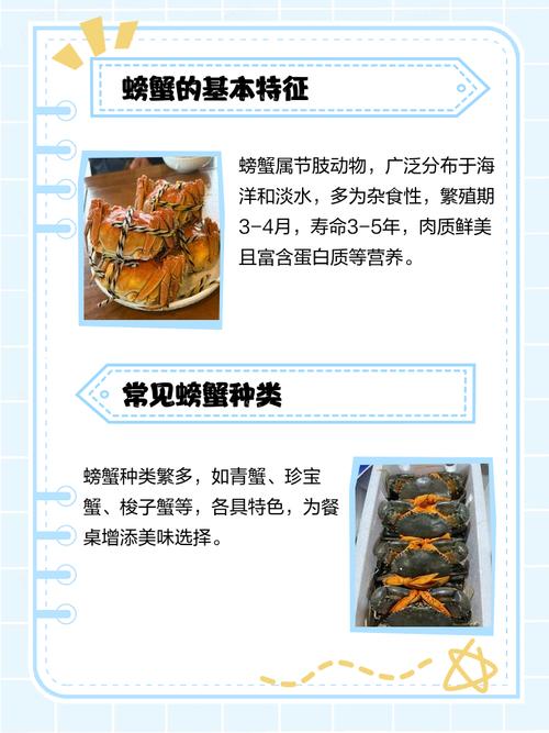 螃蟹的性格特点究竟是怎样的，它有哪些独特的个性表现呢？
