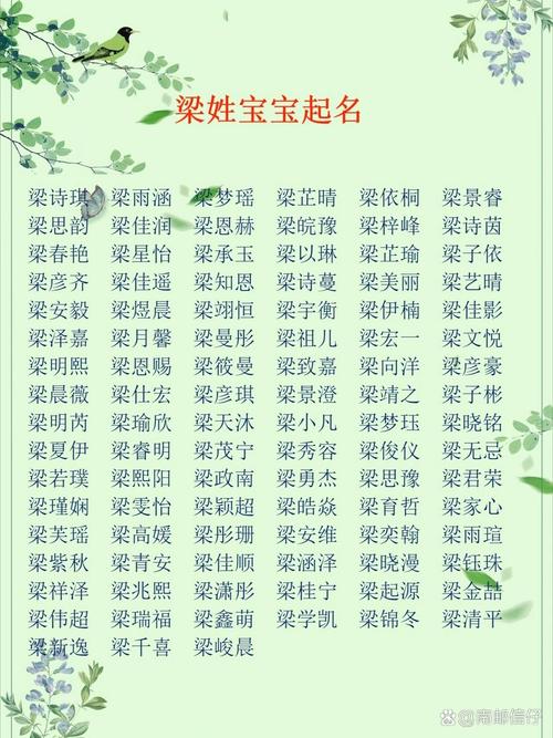 梁姓男宝宝取什么名字既文雅又有寓意？