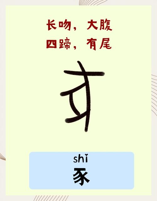 肉字代表的生肖是什么？你能告诉我正确的答案吗？