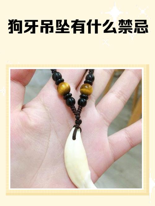 哪些属相佩戴狗牙有禁忌，是放在左边还是右边？