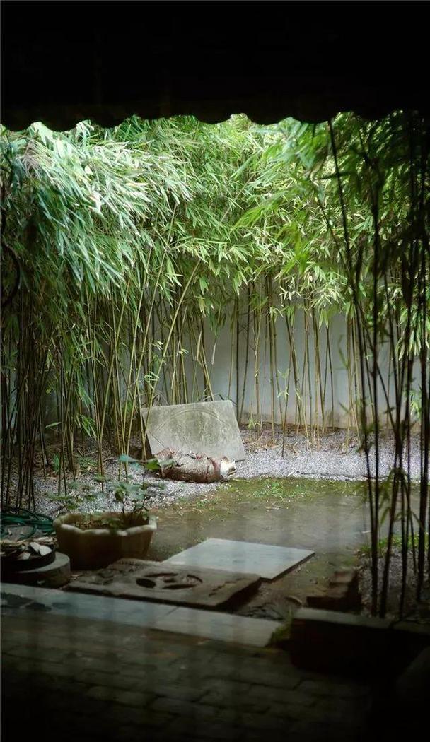 大门朝南，院子里种竹子蕞适宜的位置是哪里？