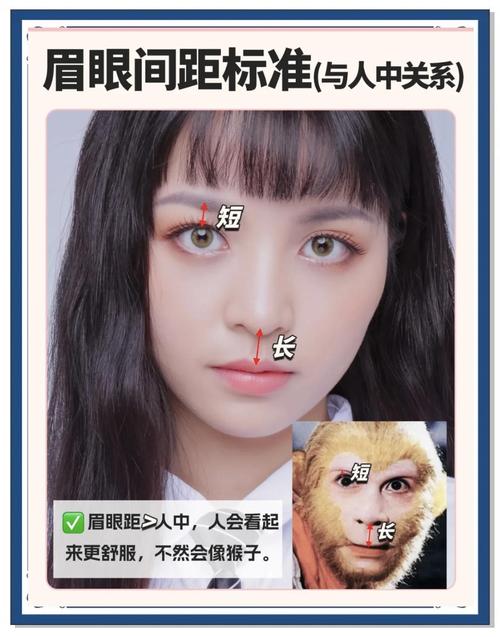 如何有效拓宽窄间距眉毛，改善眉毛间距过窄的问题？