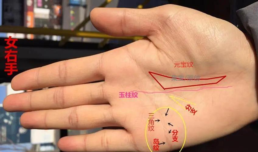 财运线与婚姻线交叉意味着什么？这是否预示着财运和婚姻的双重影响？