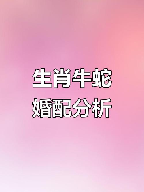 属蛇女和属牛男在一起需要注意哪些相处之道？