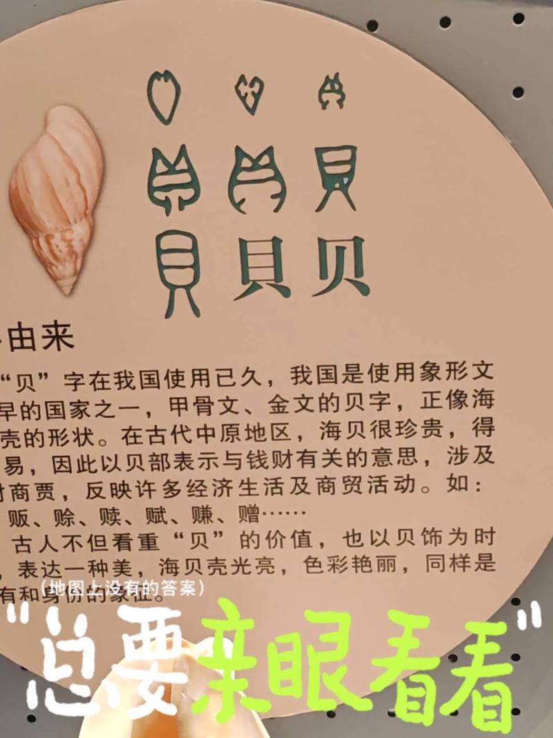 贝字五行属什么寓意？贝字取名有何深层含义？