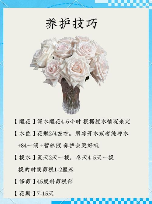 象征爱情的物品有哪些可以用来比喻爱情？