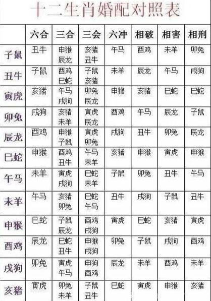 如何通过出生年月日找到匹配的伴侣？