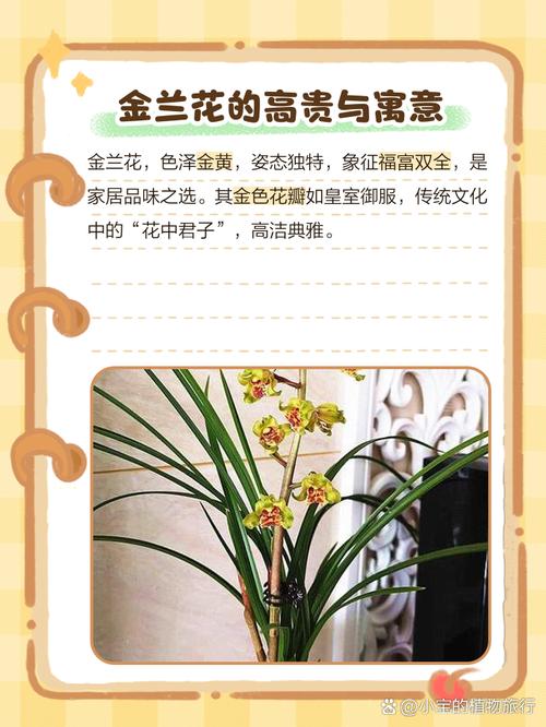 金兰统一格式名是什么有哪些好听的金兰格式可以分享？