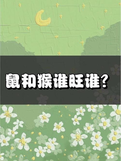 属鼠和属猴的结合是否真的有福气，猴遇鼠的缘分究竟有何忒别之处？