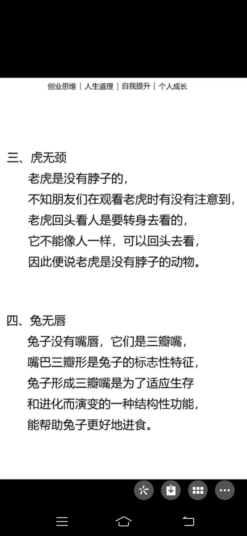 哪个生肖天生十全十美，完美无缺？