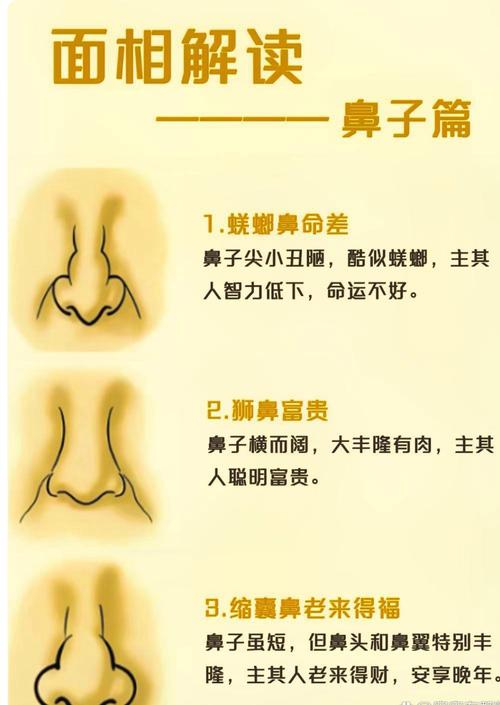 鼻子孔大的女人命运如何？面相鼻小孔大预示着什么？