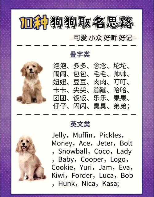 有没有什么好听的、创意十足又不俗气的狗名字推荐？