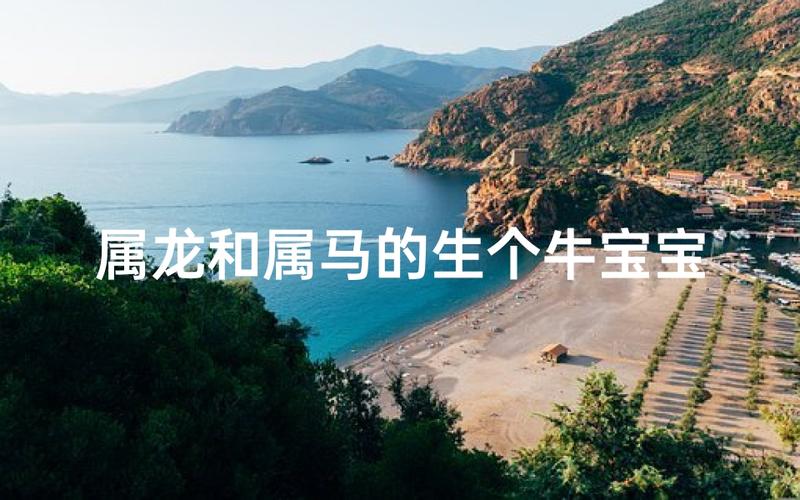 属龙和属马的夫妻生什么属相的宝宝最吉祥？
