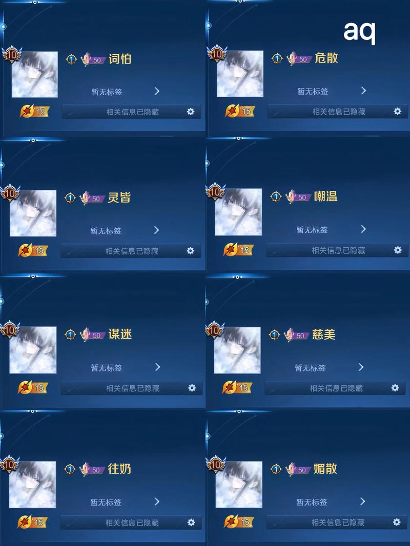 王者荣耀中有没有两个字的干净高冷男ID叫冷风的玩家？
