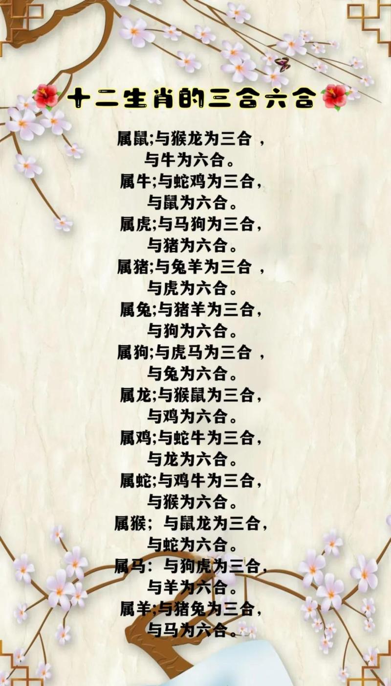 为什么属龙的人通常与属鼠的人很般配？这其中的原因是什么？