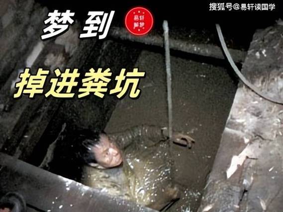 梦见臭气熏天的粪坑是什么征兆？