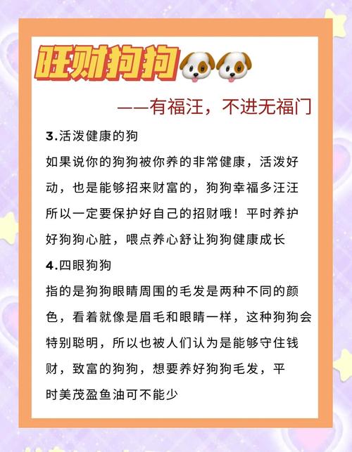 2026年属狗人的财运究竟如何？