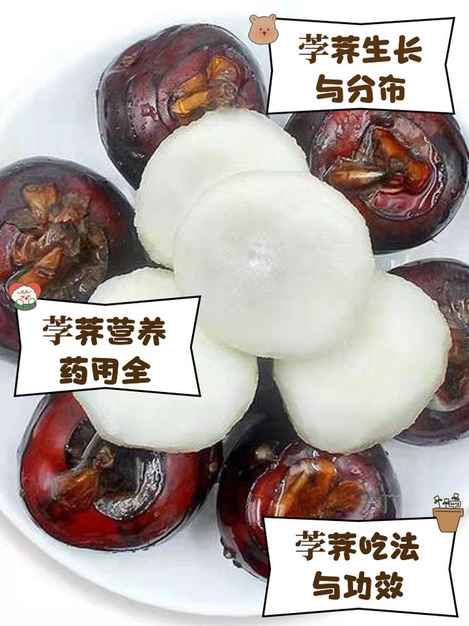 女人梦见荸荠预示着什么吉凶？